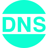 域名DNS查询